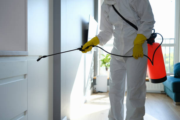 Best Health and Safety Mold Remediation in Vernon Hls, IL