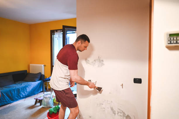 Best Bathroom Mold Remediation in Vernon Hls, IL